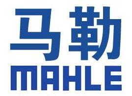 上海马勒滤清系统有限责任公司