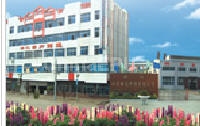 隨州市全力鑄造有限責任公司