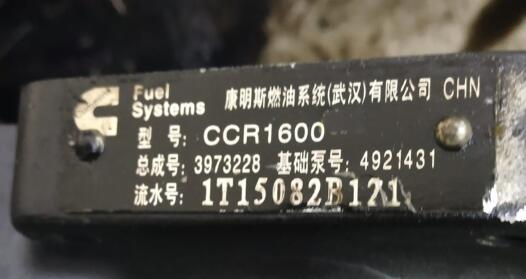 出口采購康明斯共軌噴油器 油泵 圖